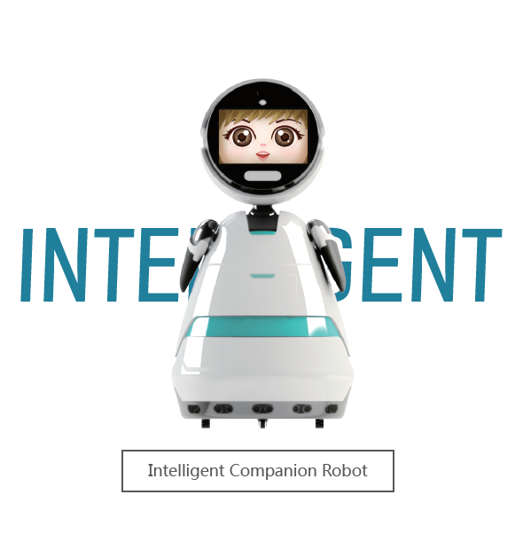 Intelligent Companion Robot
